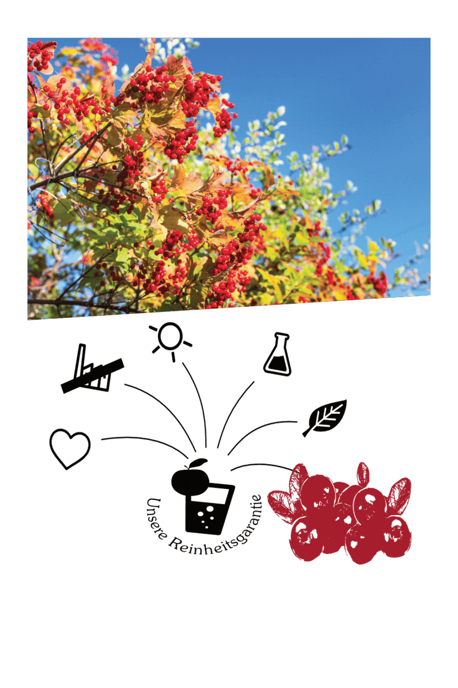 Cranberry - Cranberry Direktsaft Naturtrüb