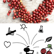 Laden Sie das Bild in den Galerie-Viewer, Stachelbeere - Stachelbeere Direktsaft - Rote Triumphbeere - Saft