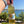 Main Tonic - Cider trifft auf Tonic Water