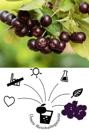 Aroniasaft - Aronia Direktsaft - Naturtrüb - Qualität
