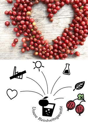 Stachelbeere - Stachelbeere Direktsaft - Rote Triumphbeere - Saft